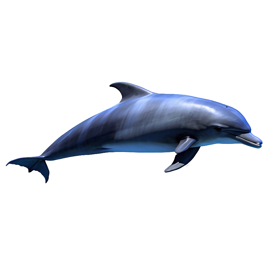 Dolphin Silhouette Png Mkk34