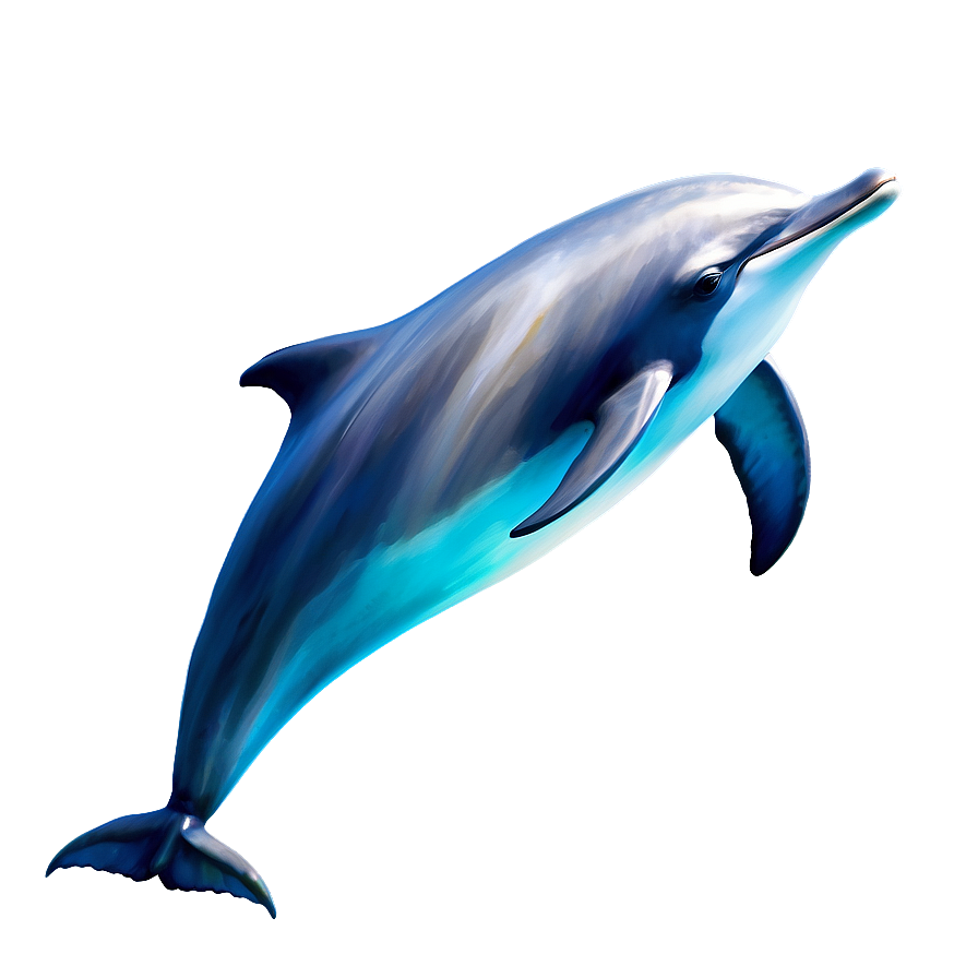 Dolphin Sketch Png 05062024