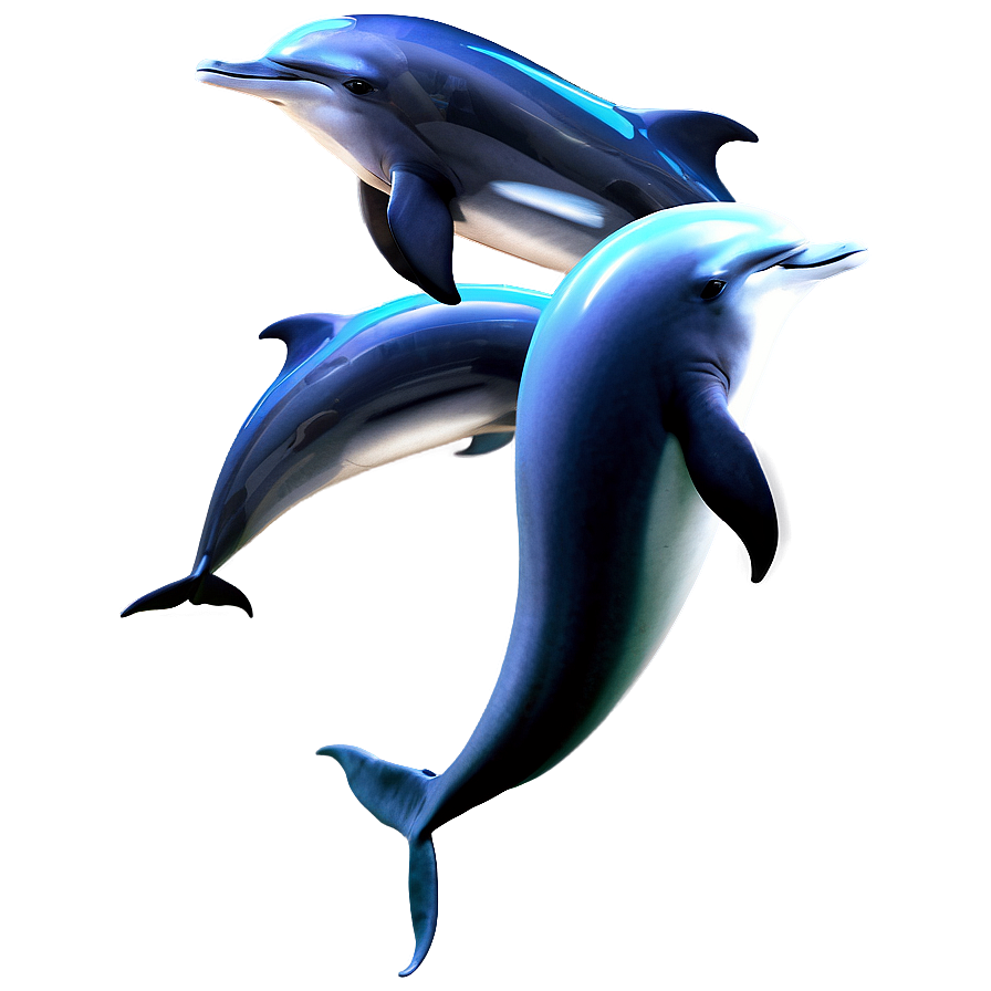 Dolphin Tail Png 05062024