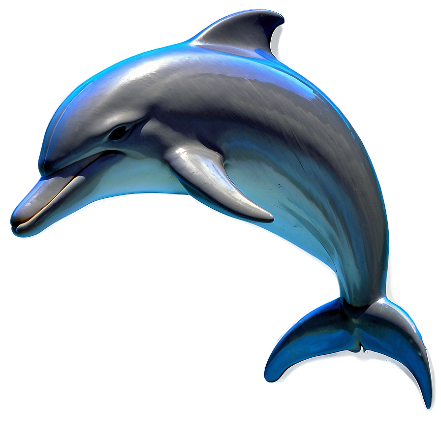 Dolphin Tattoo Png 95
