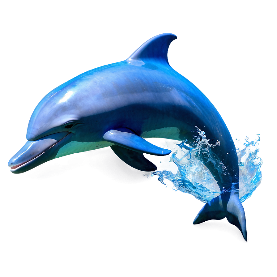 Dolphin Waves Png 96