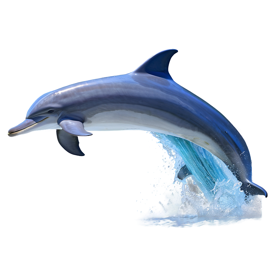 Dolphin Waves Png Wia