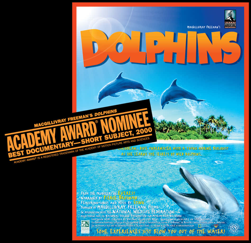 Dolphins Movie Poster2000