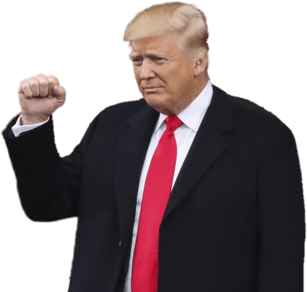 Donald Trump Fist Pump Gesture