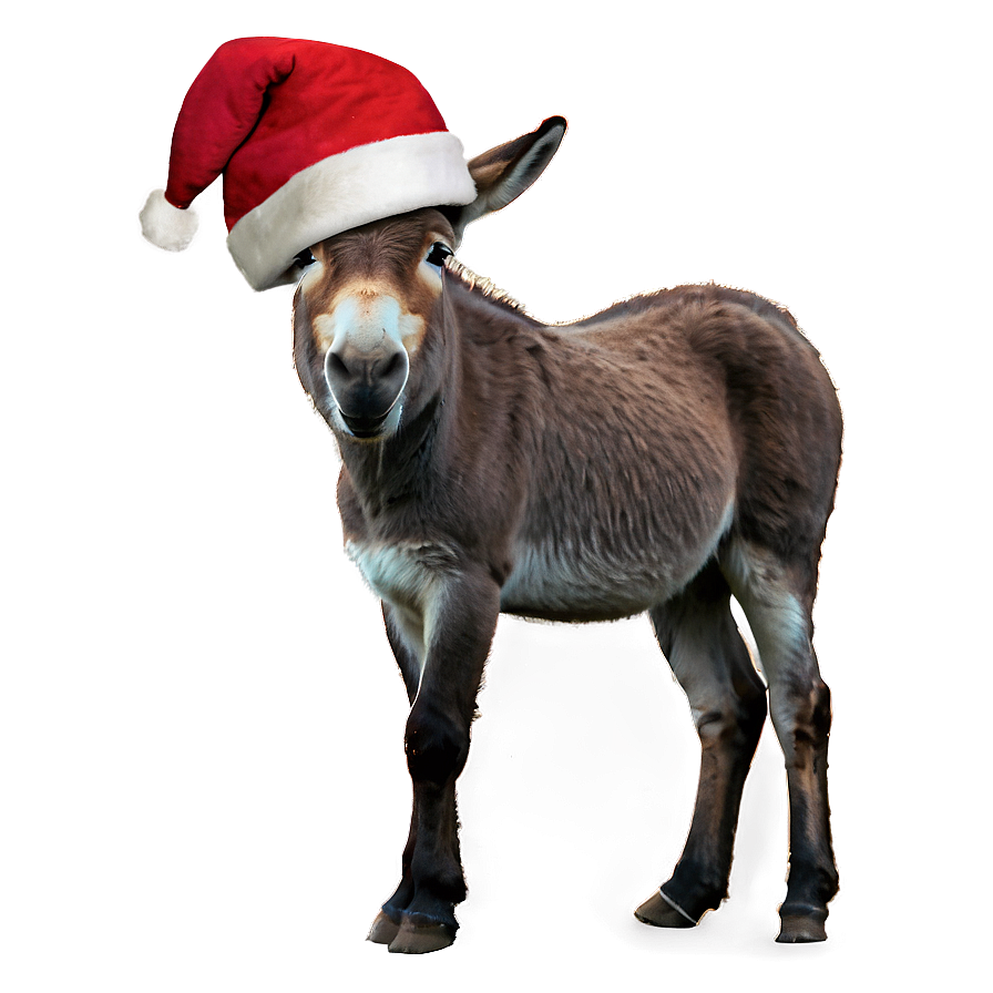 Donkey With Santa Hat Png 94