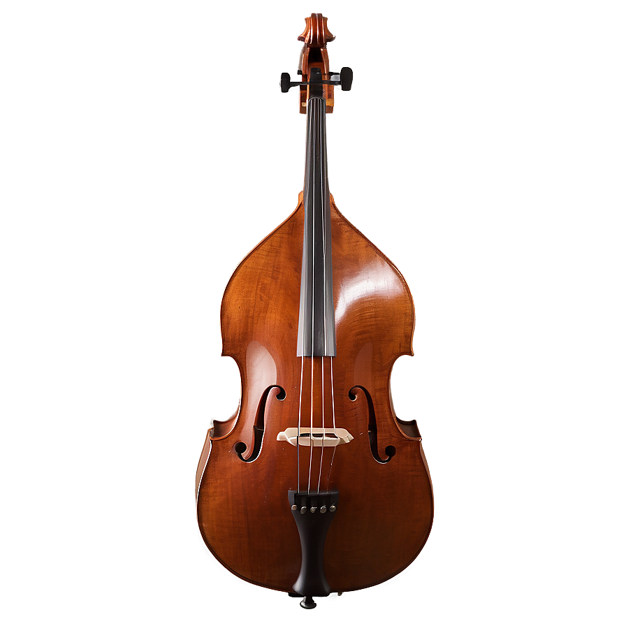 Double Bass Instrument Png 45