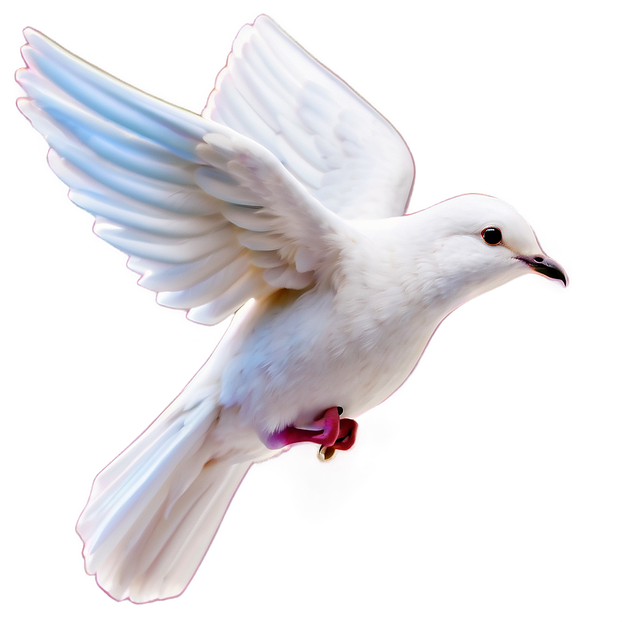 Dove Clipart For Peace Day Png 06262024