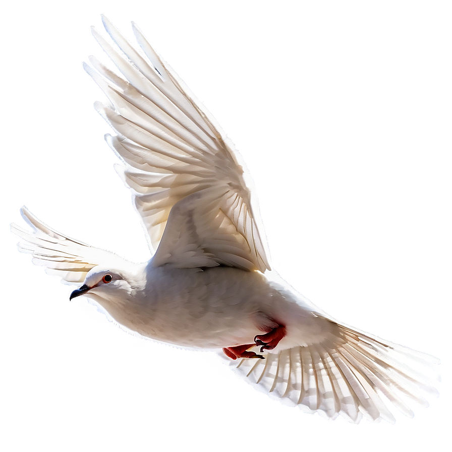 Dove Flying Png Qct