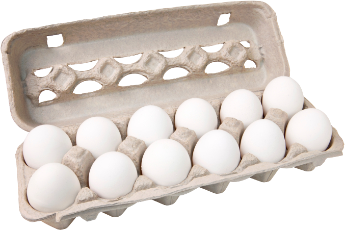 Dozen White Eggsin Carton