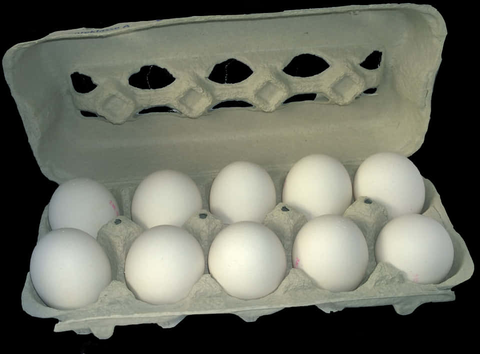 Dozen White Eggsin Carton