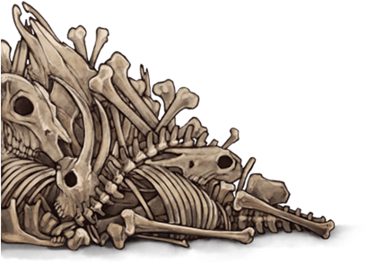 Dragon Skeleton Artwork