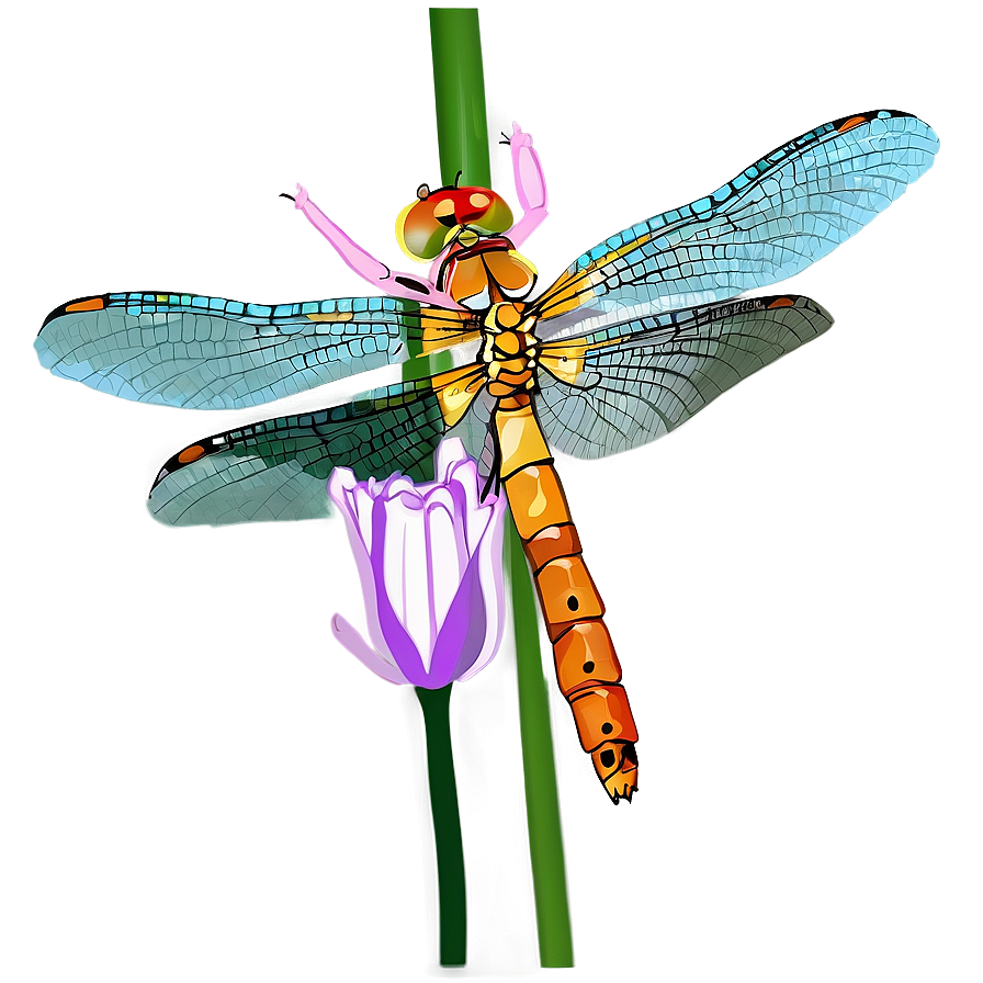 Dragonfly On Flower Png Ctl82