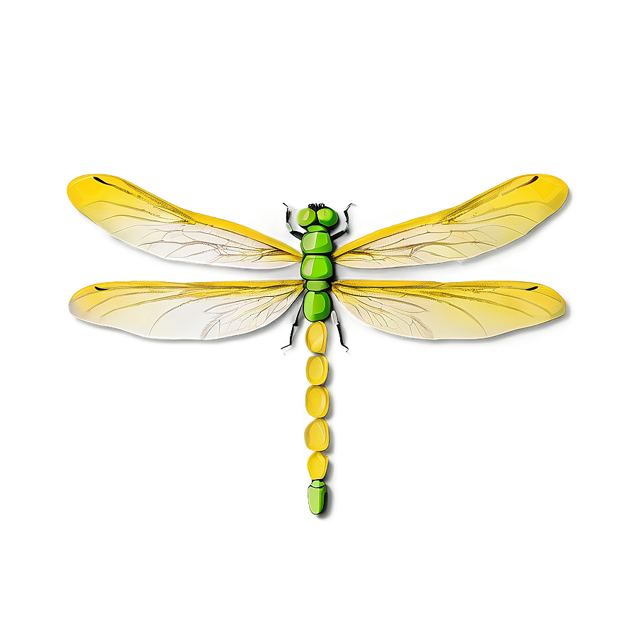 Dragonfly Pattern Png 05212024