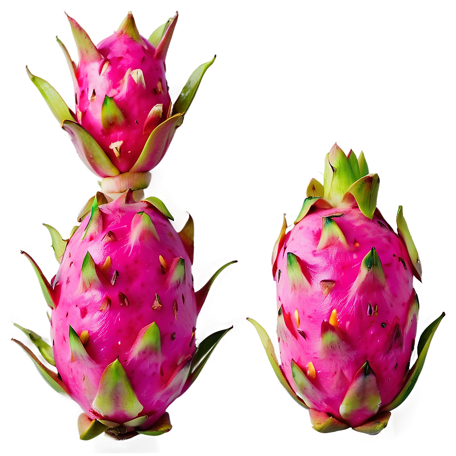 Dragonfruit D