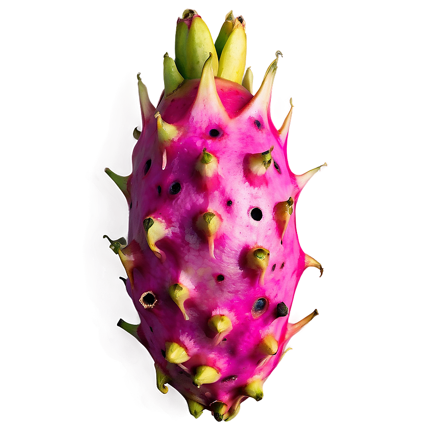 Dragonfruit With Other Exotics Png 06122024