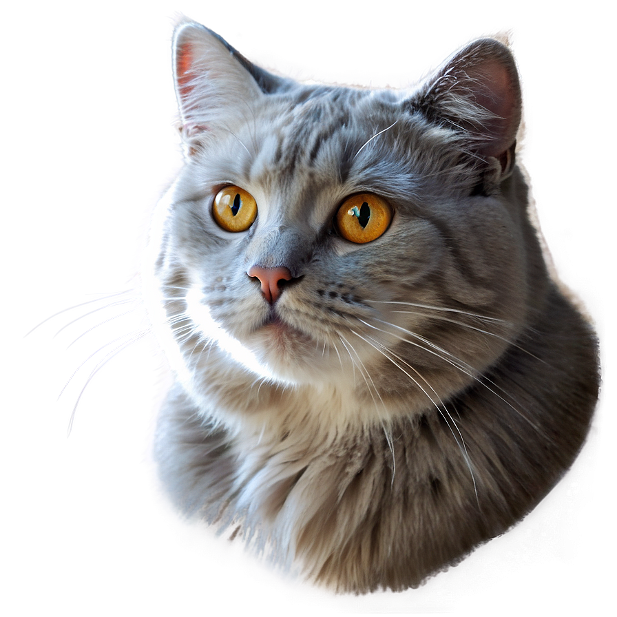 Dreamy Cat Artwork Png Efg52