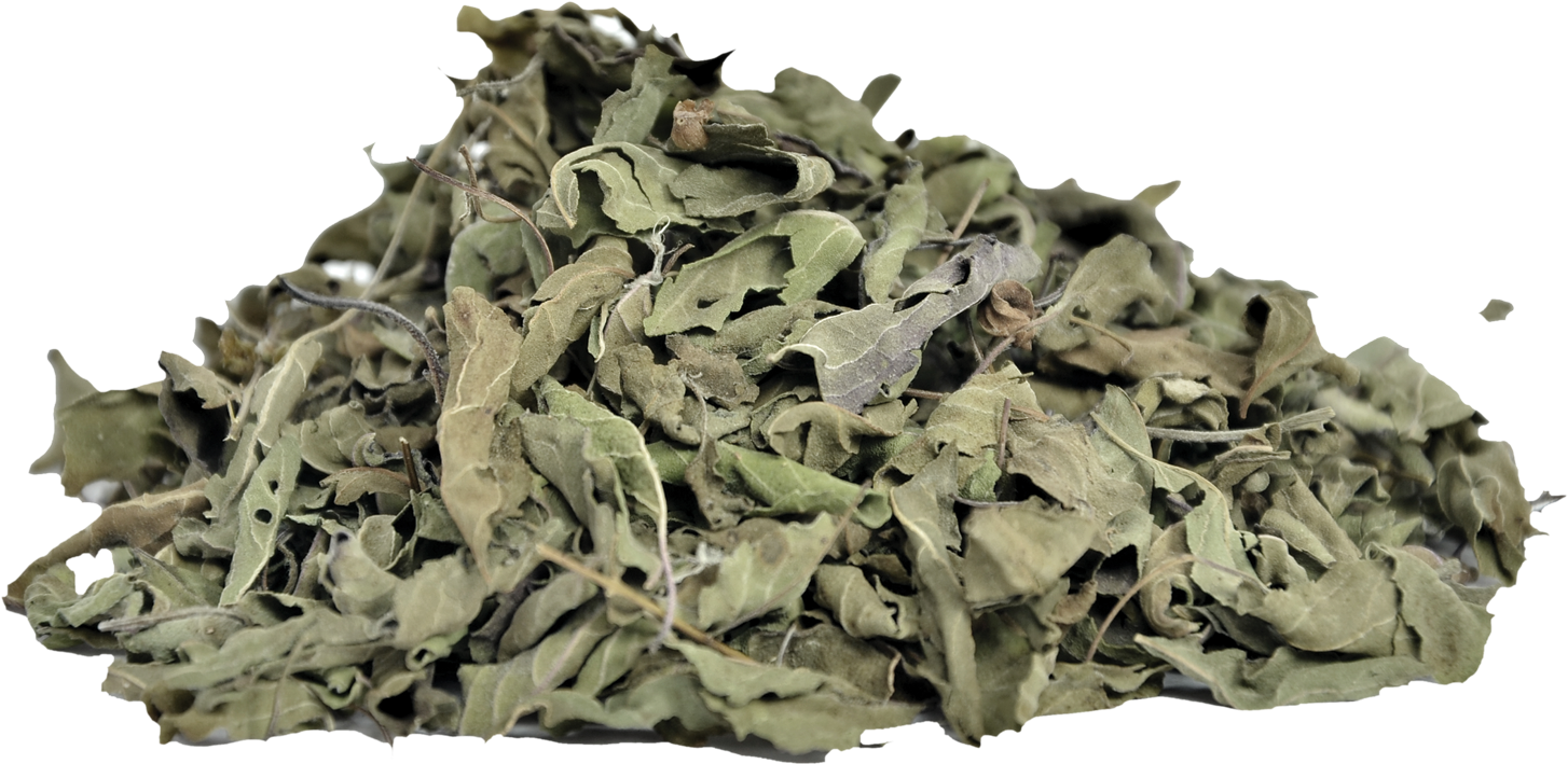 Dried Basil Leaves Texture