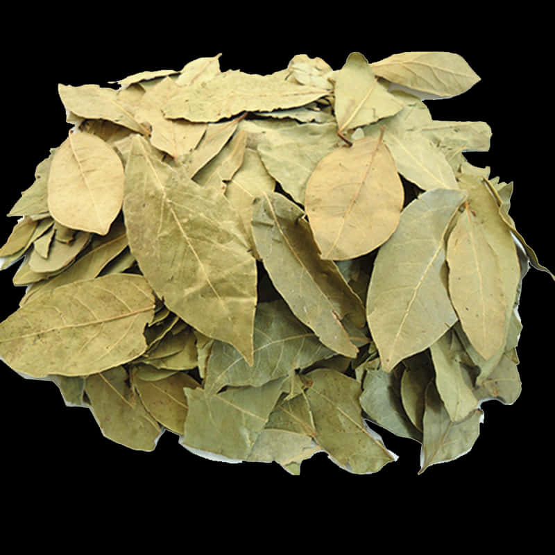 Dried Bay Leaves Herbal Spice