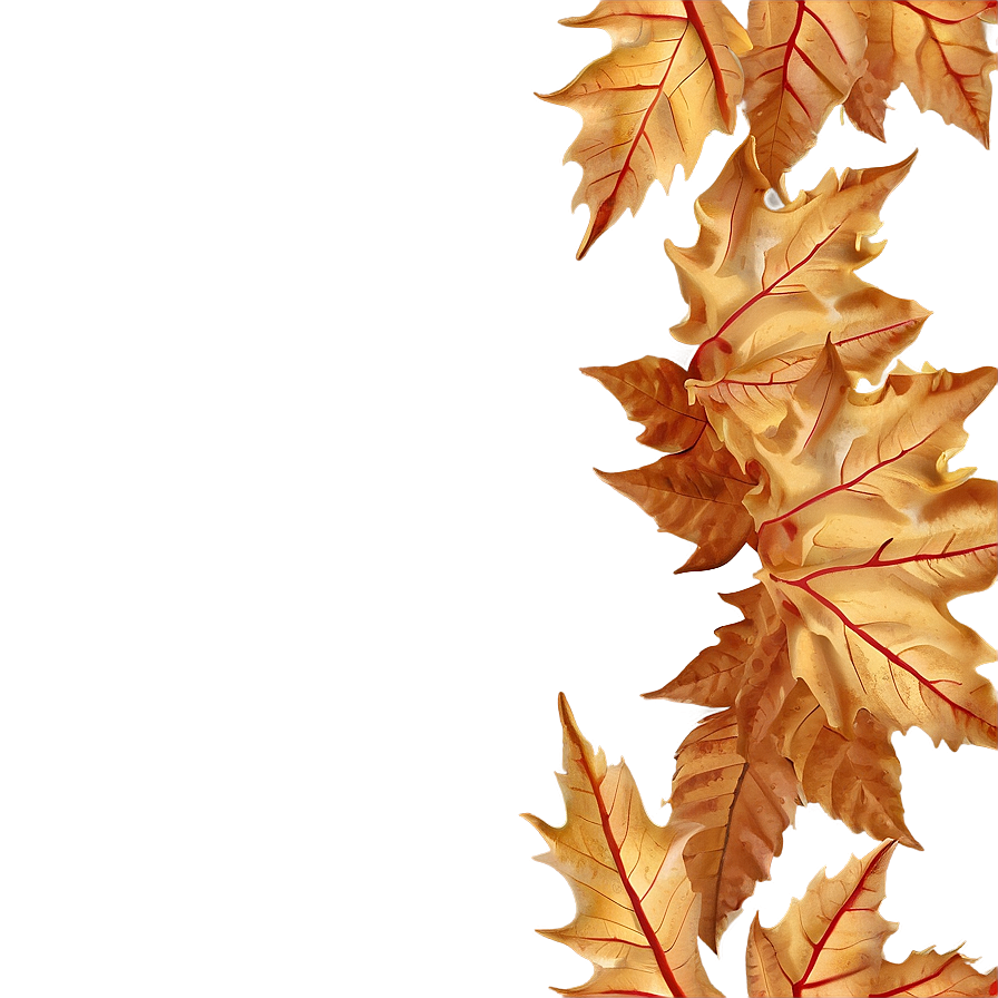 Dried Fall Leaves Png 05042024