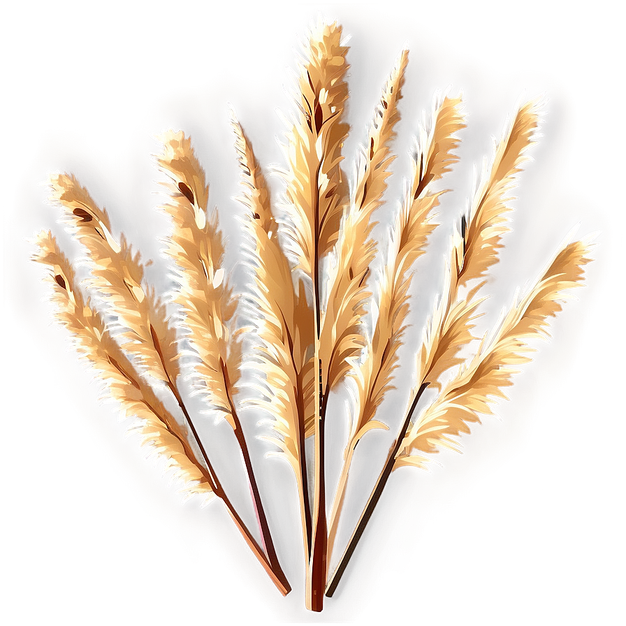 Dried Pampas Grass Png Muq43