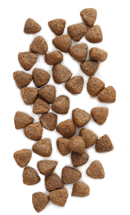 Dry Dog Food Kibble Texture