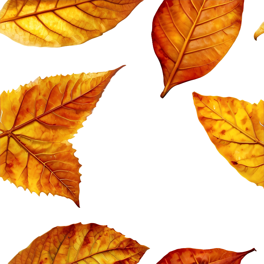 Dry Leaf Png 30