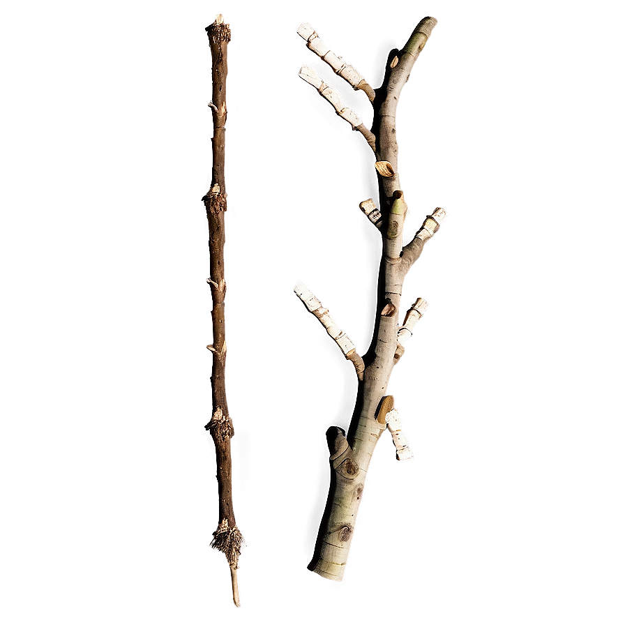 Dry Twig Png Cfu85