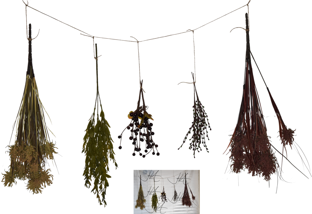 Drying Herbs Collection