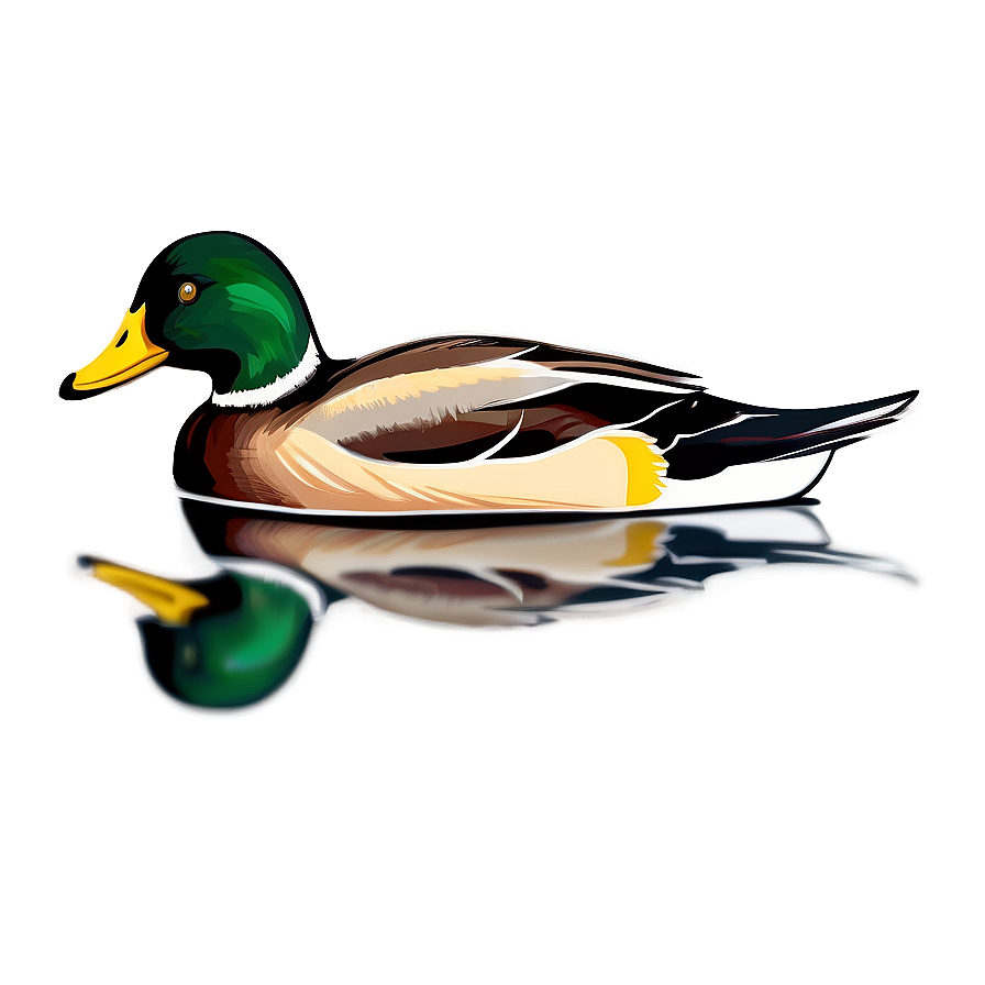 Duck Bird Swimming Png 05032024