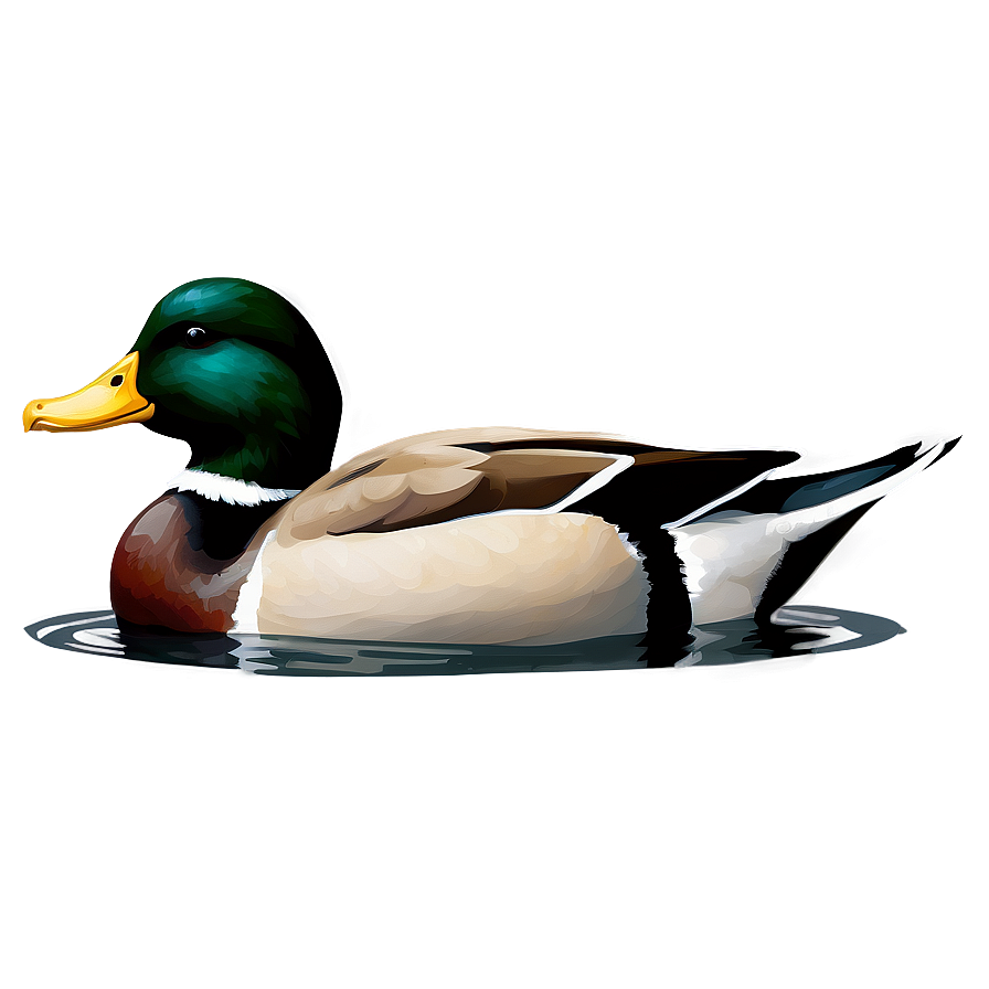 Duck Swimming Png Fqw