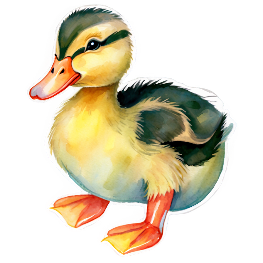 Duckling In Watercolor Png 15