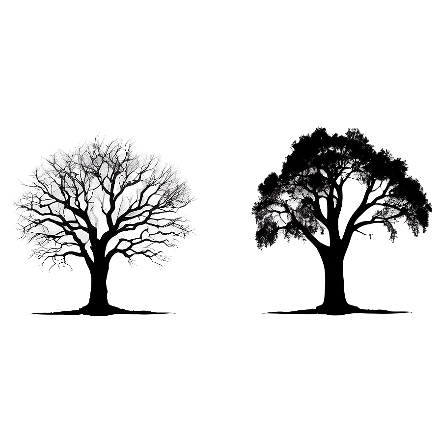 Dynamic Tree Silhouette Png 10