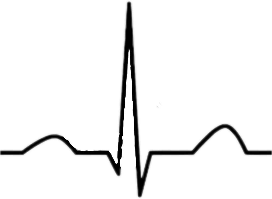 E K G Heartbeat Line Art