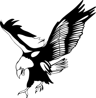 Eagle Silhouette Art