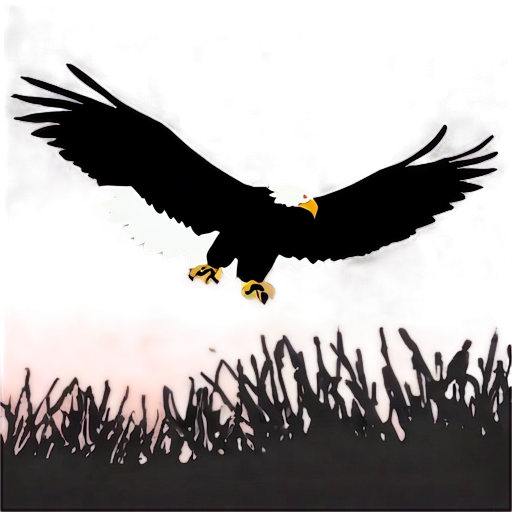 Eagle Silhouette At Dawn Png A