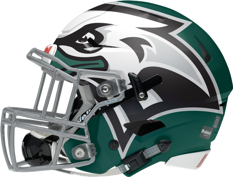 Eagles Themed Football Helmet