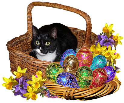 Easter Catin Basketwith Decorated Eggsand Flowers