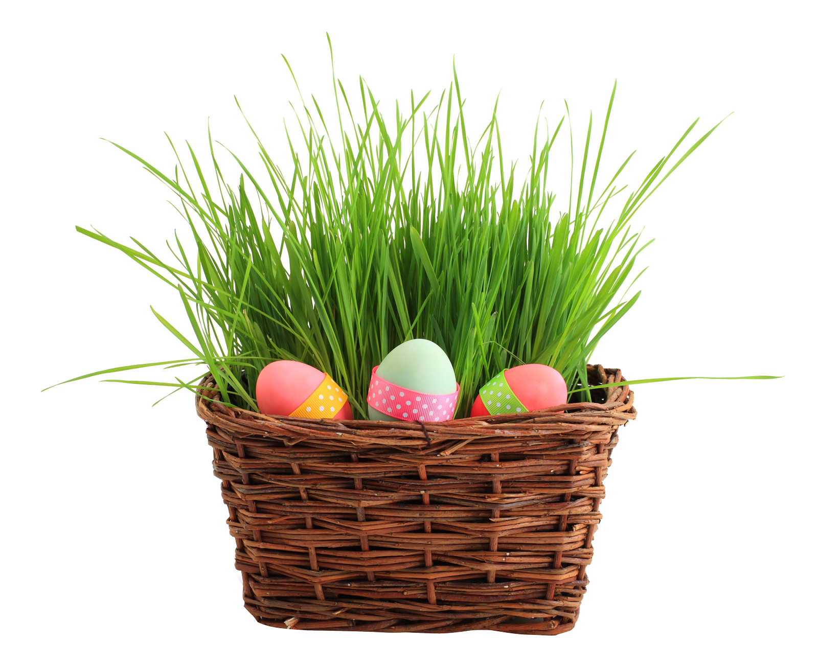 Easter Egg Basketwith Grass