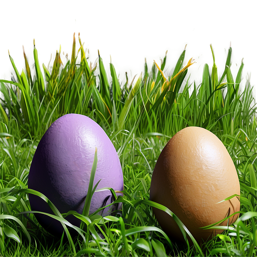 Easter Egg In Grass Png Fsw