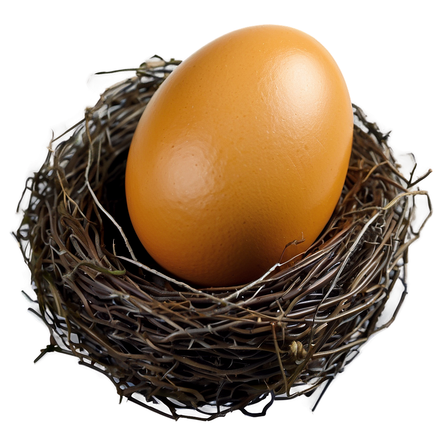 Easter Egg Nest Png 05252024