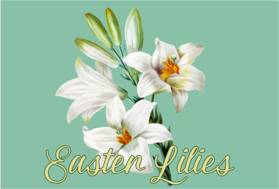 Easter Lilies Floral Graphic