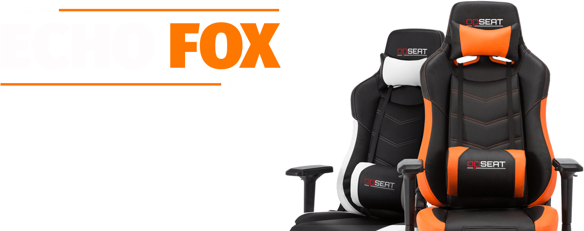 Echo Fox Gaming Chair Promotion