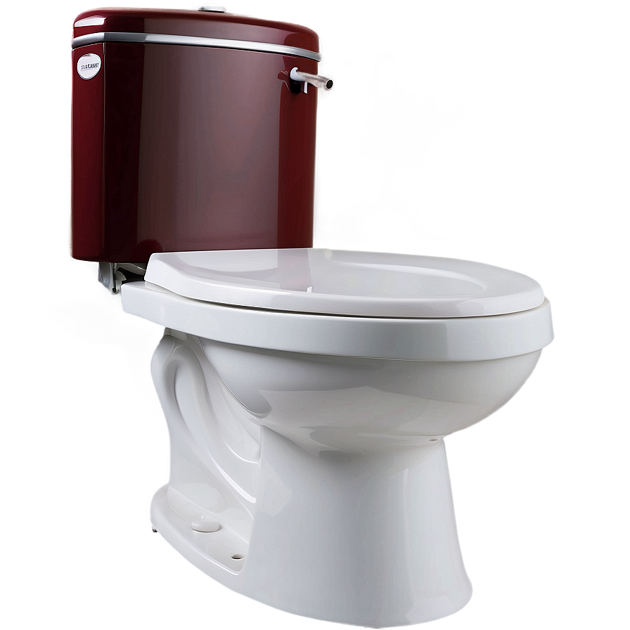 Eco-friendly Dual Flush Toilet Png 05042024