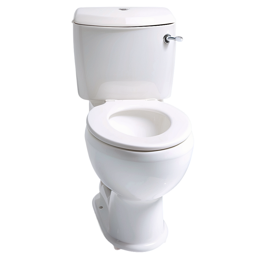 Eco-friendly Dual Flush Toilet Png 05042024