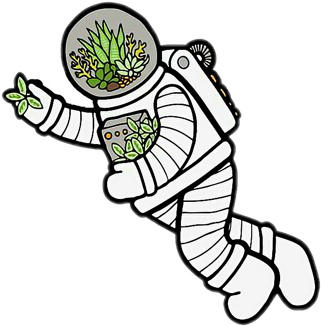 Eco Friendly Spaceman Illustration.png