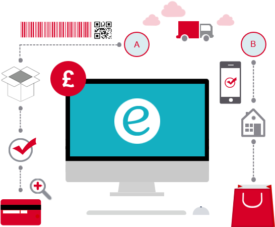 Ecommerce Process Infographic