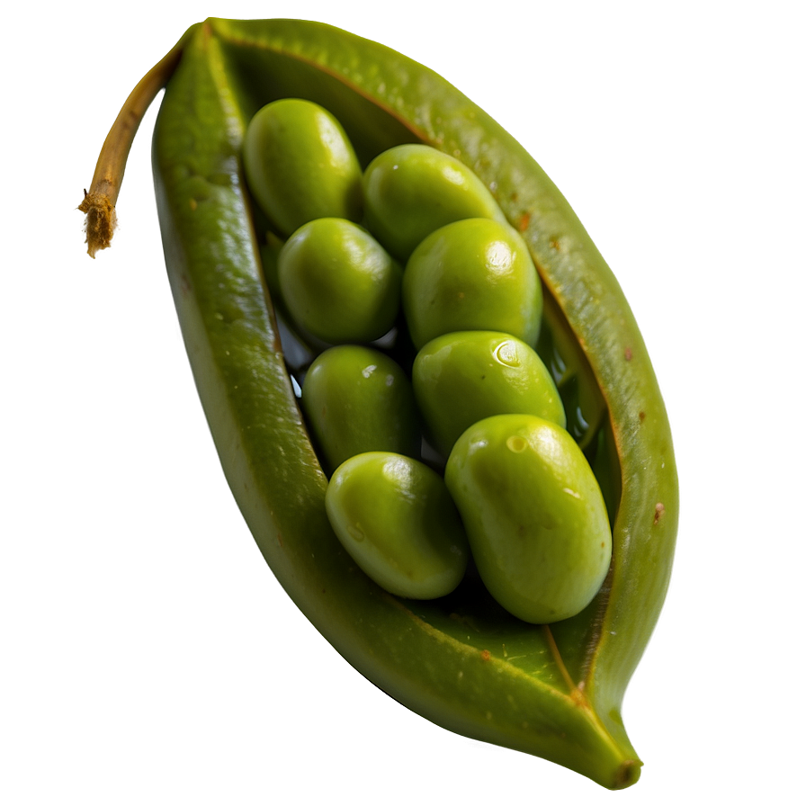 Edamame Bean Png 96