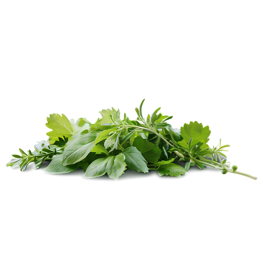 Edible Herb Png Tbf