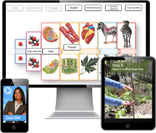 Educational Interactive Learning Platforms