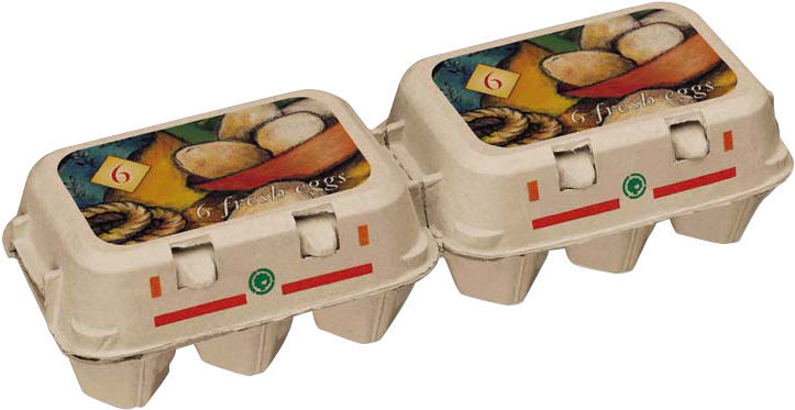 Egg Carton Packaging Twin Pack